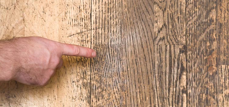 Wood Door Scratch Repair in Seaside